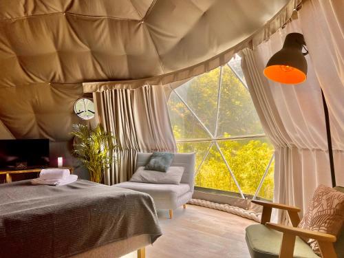 卡齐米日-多尔尼Na Skraju Lasu Domek na Drzewie & Glamping的一间卧室设有一张床和一个大窗户