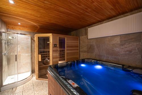 济泽罗河畔帕塞基U Sadílků的带淋浴的浴室内的大蓝色浴缸