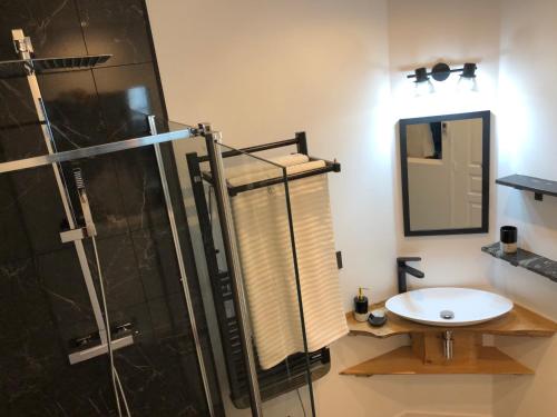 巴涅尔德比戈尔Appartement entier Le 1er Balnéothérapie Romantique的带淋浴和盥洗盆的浴室
