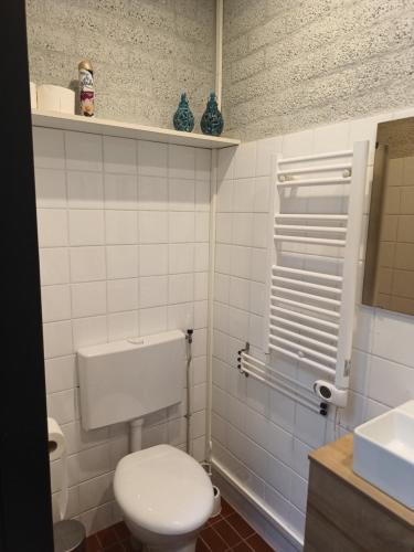 ErmUitrusthuisje的浴室配有白色卫生间和盥洗盆。