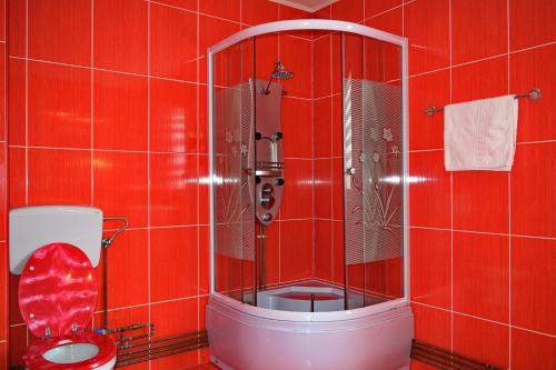 舒加塔格盐矿镇Cabana Denis&Lucas的红色瓷砖浴室设有淋浴和卫生间。