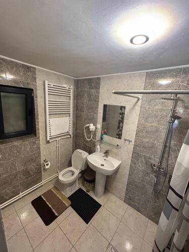 瓦特拉多尔内Pensiunea Poiana Dornei的浴室配有卫生间、淋浴和盥洗盆。