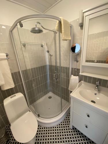 穆斯特韦埃Peipsi Teemaja的带淋浴、卫生间和盥洗盆的浴室