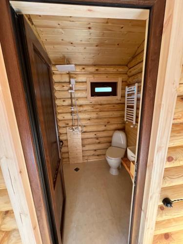 卡兹贝吉Alone Cottage Kazbegi的小木屋内带卫生间的小浴室