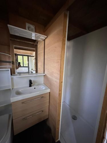 圣利法尔Tiny house的一间带水槽和镜子的小浴室