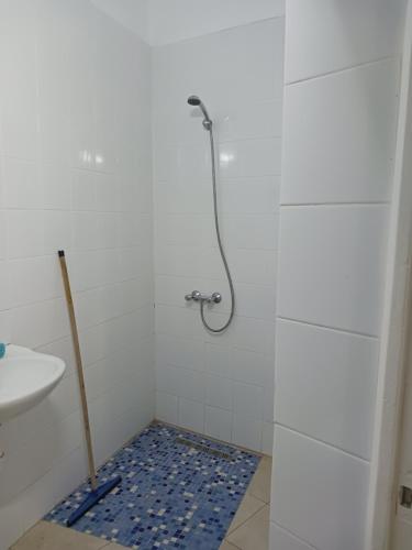 乌姆苏克Appartement Fethia的浴室铺有蓝色瓷砖地板,设有淋浴。