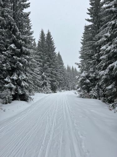 亚诺夫纳德尼索Apartman Jizerky的雪覆盖着树木和雪地轨道的道路