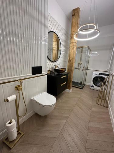 斯克拉斯卡波伦巴Apartament Górska Osada 21的一间带卫生间和水槽的浴室