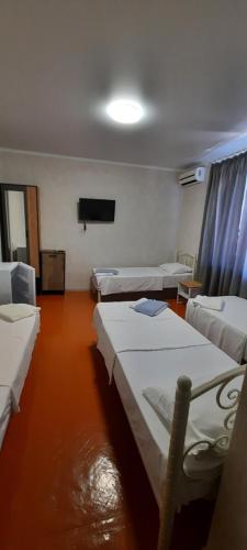 凯瓦尼Пограничная 8的客房设有三张床和一台平面电视。