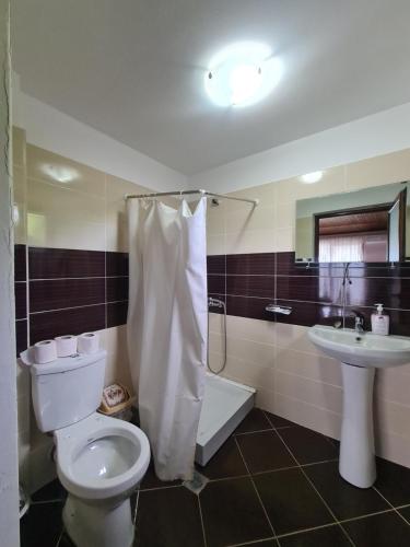波格拉德茨Hotel Kukesi的一间带卫生间和水槽的浴室