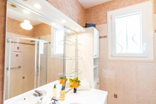 阿姆博斯Clos Fleuri : Amboise Home with Amazing Gardens的一间带水槽、淋浴和镜子的浴室