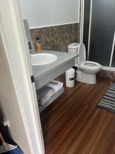 Paix BoucheApartment Rental的一间带水槽和卫生间的浴室