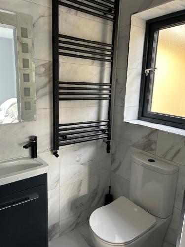 基洛格林Stylish Killorglin Apartment的一间带卫生间、水槽和镜子的浴室