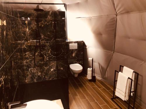 米德尔克尔克ID Glamping De Coude Scheure的浴室设有黑色瓷砖淋浴和卫生间。