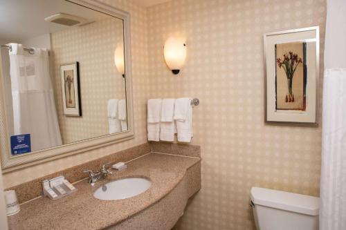 伊利伊利希尔顿花园酒店的一间带水槽、卫生间和镜子的浴室