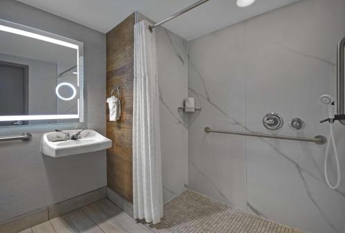 哈斯布鲁克高地梅多兰兹海兹哈斯布鲁克希尔顿酒店的一间带水槽和淋浴的浴室