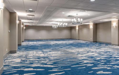 新伯尔尼新伯尔尼-河滨希尔顿逸林酒店的一间大客房,地板上铺有蓝色地毯