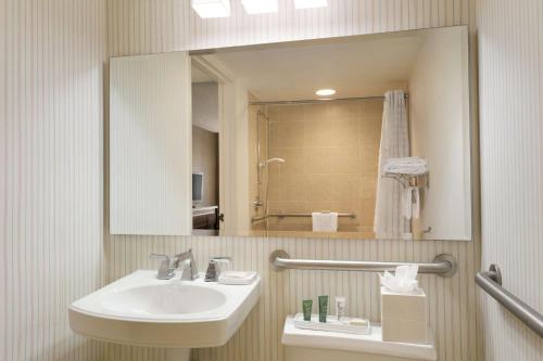 东拉瑟福德梅多兰兹希尔顿酒店的一间带水槽和镜子的浴室