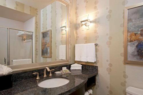 罗阿诺克沃思堡联盟机场希尔顿花园酒店的一间带水槽和镜子的浴室