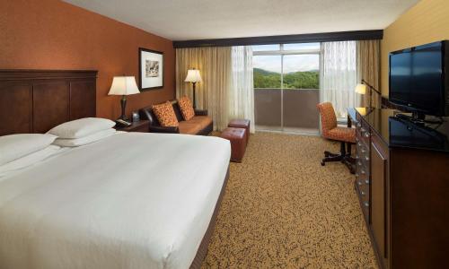 加特林堡加特林堡- 远景公园-希尔顿逸林酒店的酒店客房设有一张大床和一台电视。