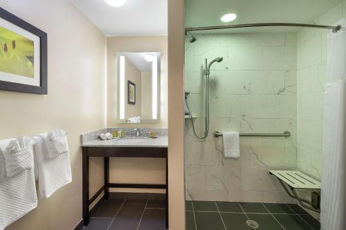 海恩尼斯海恩尼斯鳕鱼角希尔顿逸林酒店的带淋浴和盥洗盆的浴室