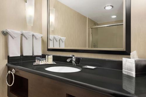 威奇托威奇托机场希尔顿逸林酒店的一间带水槽和镜子的浴室