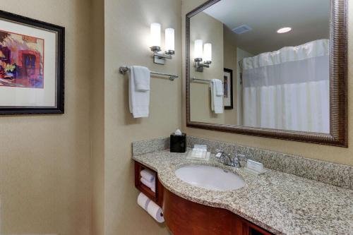 普兰菲尔德印第安纳波利斯机场希尔顿花园酒店的一间带水槽和镜子的浴室