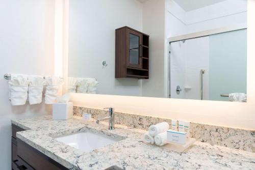 印第安纳波利斯印第安纳波利斯市中心希尔顿惠庭套房酒店的一间带水槽和大镜子的浴室