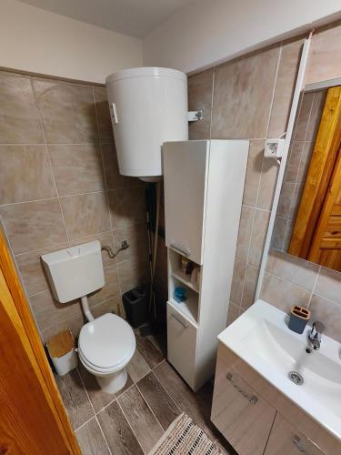 Apartma Sveti Martin的一间带卫生间和水槽的小浴室