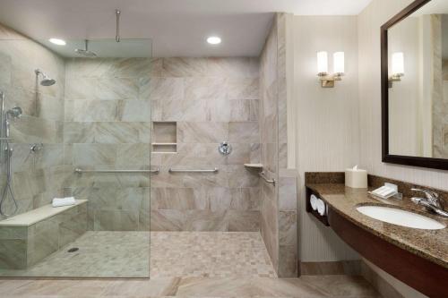 斯托尼布鲁克石溪希尔顿花园酒店的带淋浴和盥洗盆的浴室