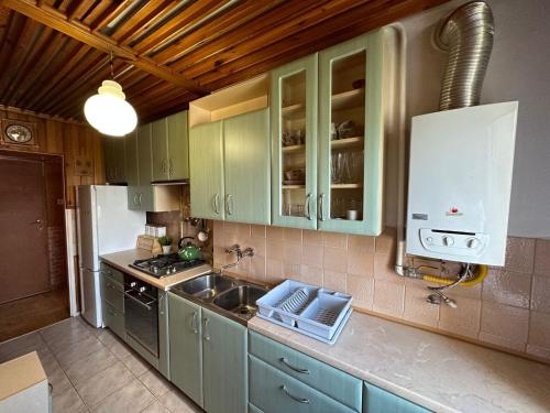 下姆沙纳Przestronny apartament na wyłączność w centrum miasta - Mszana M11的厨房配有绿色橱柜和水槽