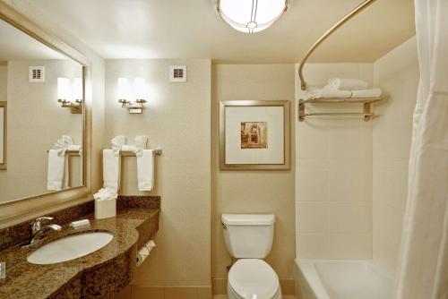 里奇菲尔德帕克里奇菲尔德公园希尔顿花园酒店的一间带卫生间、水槽和镜子的浴室