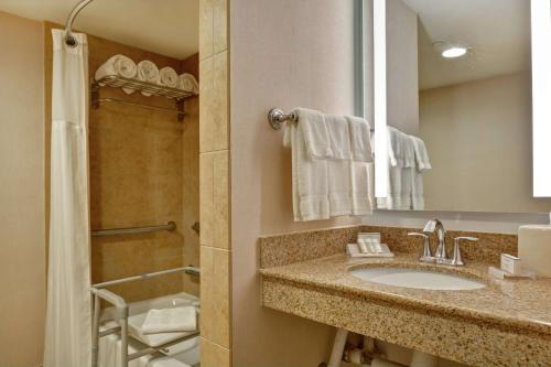 奥兰多奥兰多湖布埃纳维斯塔希尔顿花园酒店的一间带水槽和淋浴的浴室