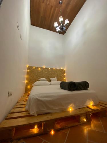 波哥大banana hostel的一间卧室配有一张灯光床