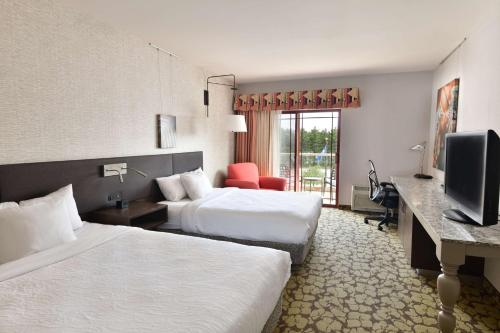 威斯康星戴尔威斯康辛戴尔斯希尔顿花园酒店的酒店客房设有两张床和电视。