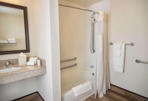 威斯康星戴尔威斯康辛戴尔斯希尔顿花园酒店的带淋浴和盥洗盆的浴室