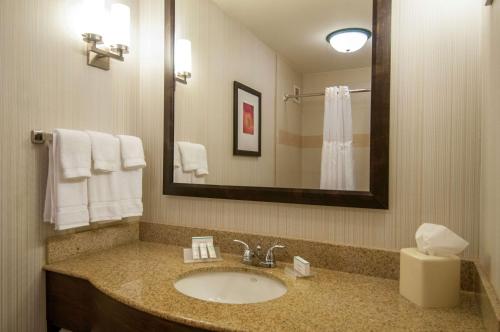 肯纳新奥尔良机场希尔顿花园酒店的一间带水槽和镜子的浴室