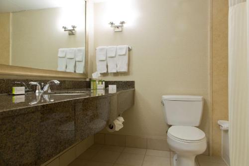 圣保罗圣保罗市中心希尔顿逸林酒店的一间带卫生间、水槽和镜子的浴室