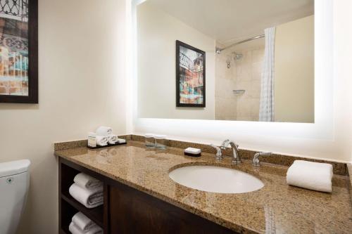 新奥尔良新奥尔良会议中心大使套房酒店 的一间带水槽、卫生间和镜子的浴室