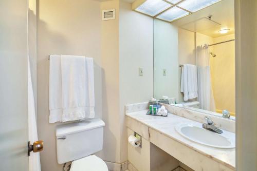 奥克兰奥克兰希尔顿机场酒店的一间带水槽、卫生间和镜子的浴室