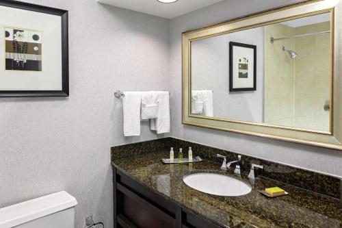 奥马哈奥马哈市中心希尔顿逸林酒店及商务会议中心的一间带水槽、镜子和卫生间的浴室