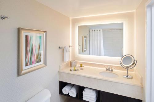 尔湾欧文斯北克特姆逸林酒店的一间带水槽和镜子的浴室