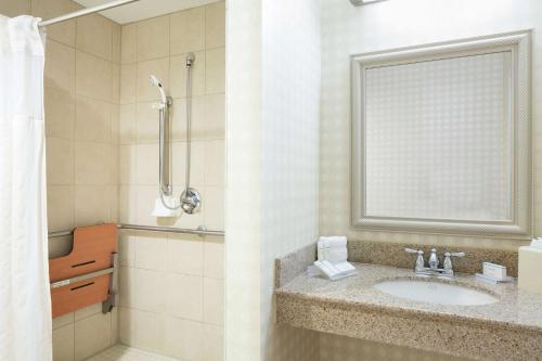 奥马哈西奥马哈希尔顿花园酒店的一间带水槽和淋浴的浴室