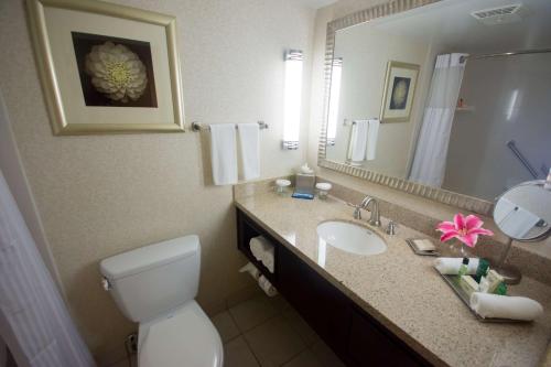 西棕榈滩Hilton Palm Beach PBI的一间带卫生间、水槽和镜子的浴室
