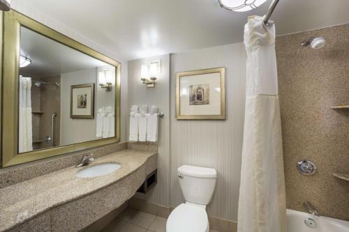 汉普顿汉普顿中央体育馆希尔顿花园酒店的一间带卫生间、水槽和镜子的浴室