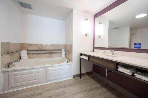 拉皮德城希尔顿花园旅馆拉皮德市的带浴缸、水槽和镜子的浴室