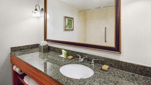 达拉姆三角研究园罗利达勒姆机场希尔顿逸林酒店的一间带水槽和镜子的浴室