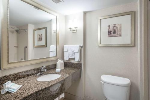 桑兹顿里士满机场希尔顿花园旅馆的一间带卫生间、水槽和镜子的浴室