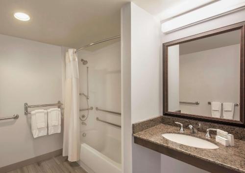 肖特帕姆里奇蒙茵斯布鲁克希尔顿花园酒店的一间带水槽、淋浴和镜子的浴室