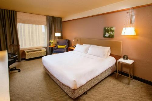 罗切斯特罗切斯特市区希尔顿花园酒店的酒店客房带一张大床和一把椅子